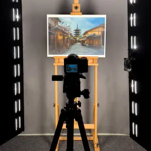 Digital Capture & Color Selection