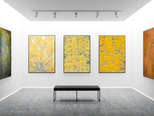 Art Show Display