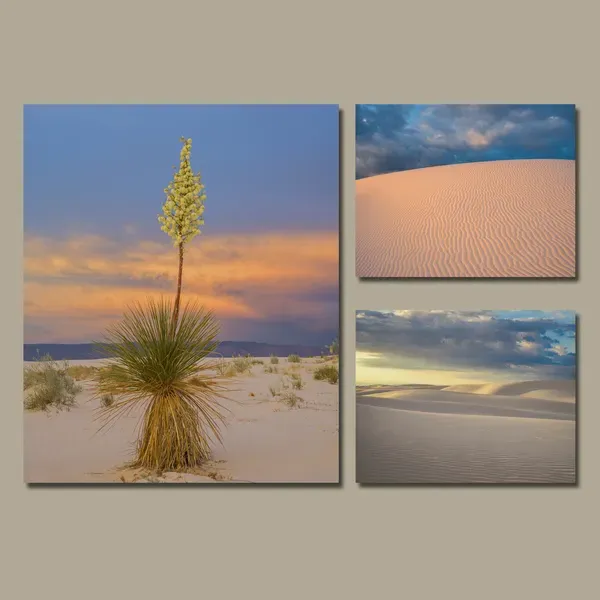 Cluster Prints