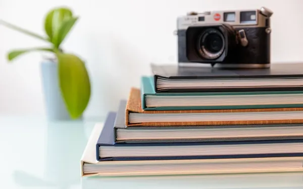 Fine Art Books