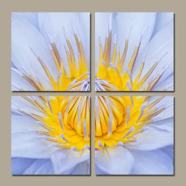 Split Prints