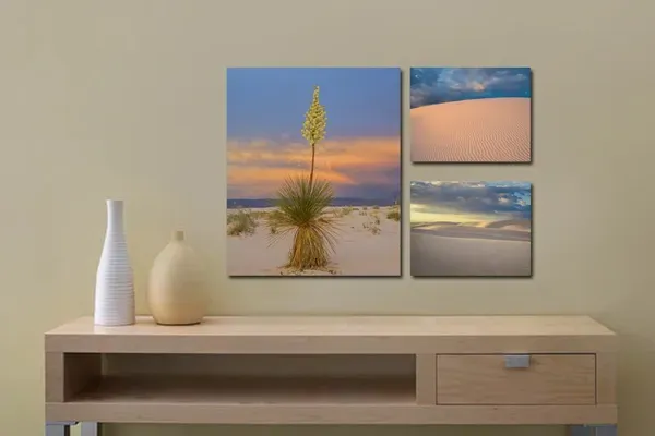 Above: One 20" x 24" and two 11" x 14"s